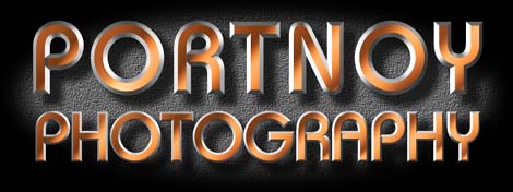 Portnoy Photography