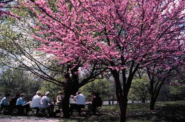 Art Class in Spring