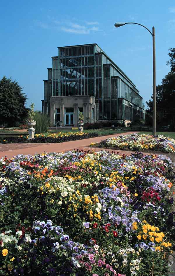 Jewel Box with Spring Flowers