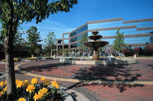 Fountain and Flowers